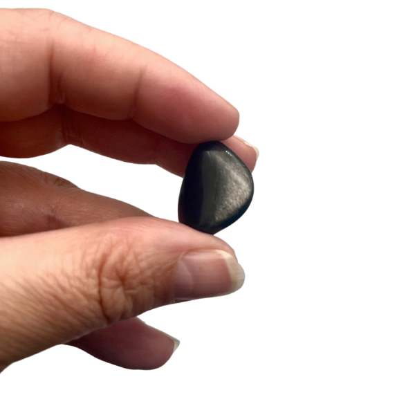 Obsidienne Argentée Pierre Roulée