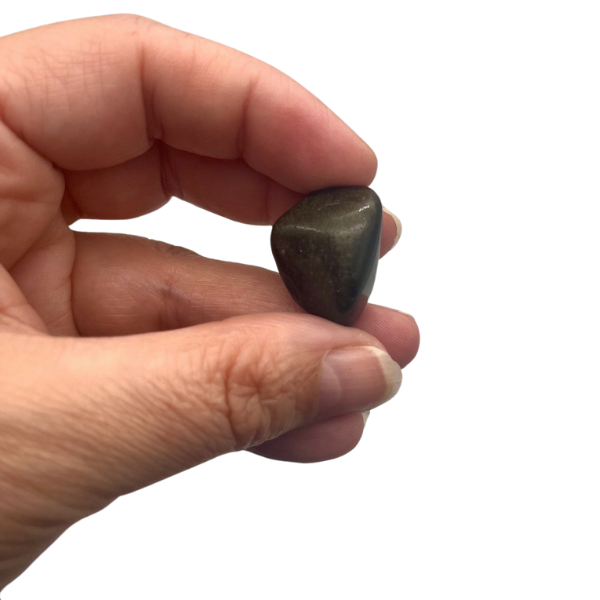 Obsidienne Dorée Pierre Roulée