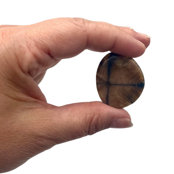 Chiastolite ou Andalousite Galet