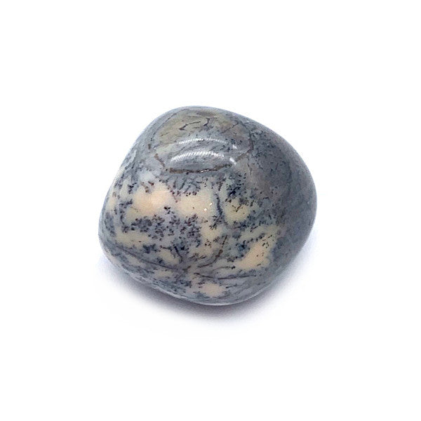 Agate Dendritique Pierre Roulée