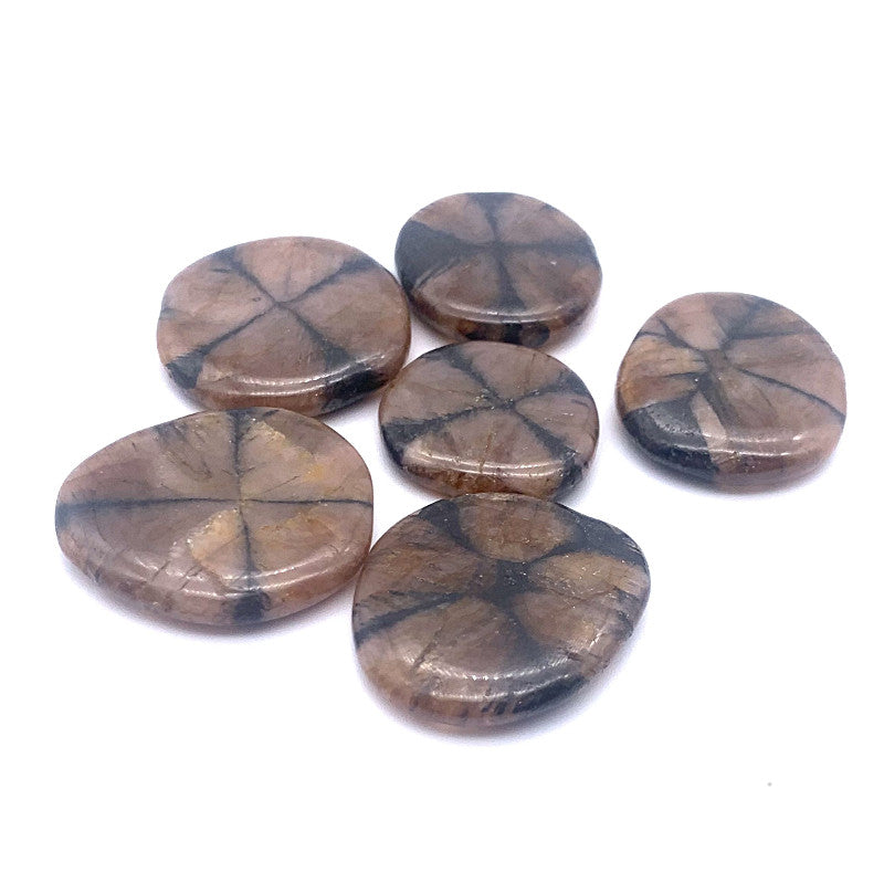 Chiastolite ou Andalousite Galet