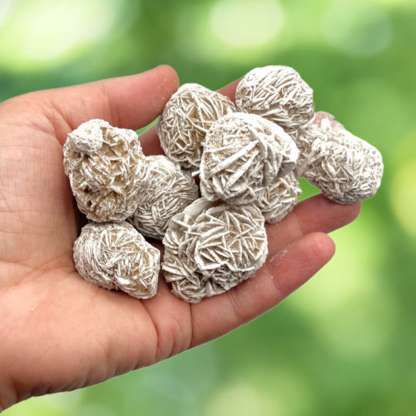 Rose des sables Pierre Brute du Mexique