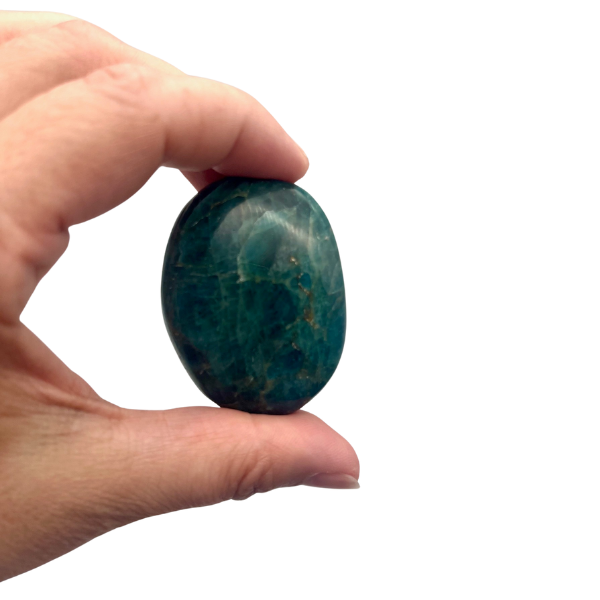 Apatite Bleue EXTRA Galet