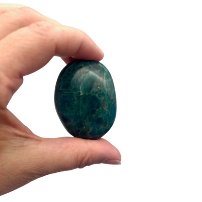 Apatite Bleue EXTRA Galet