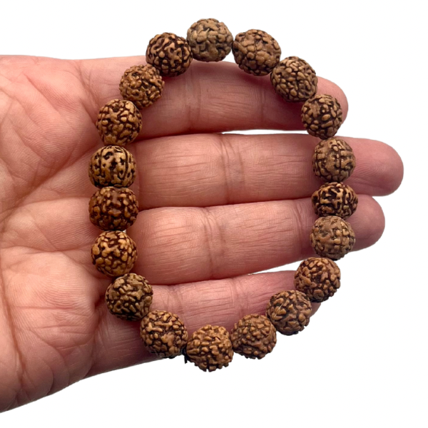 Graine de Rudraksha en Bracelet Boule