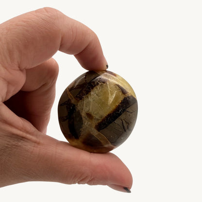 Galet Septaria - Pierre Naturelle