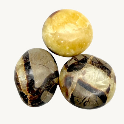 Galet Septaria - Pierre Naturelle