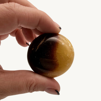 Galet Septaria - Pierre Naturelle