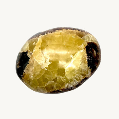 Galet Septaria - Pierre Naturelle