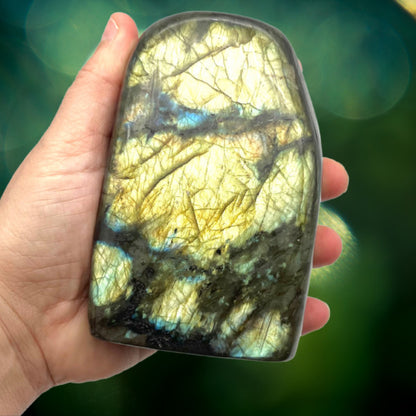 Labradorite Extra Forme libre de Madagascar