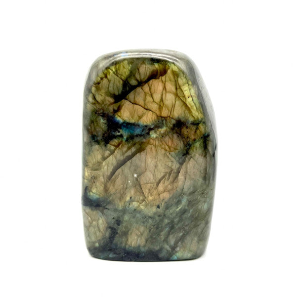 Labradorite Extra Forme libre de Madagascar