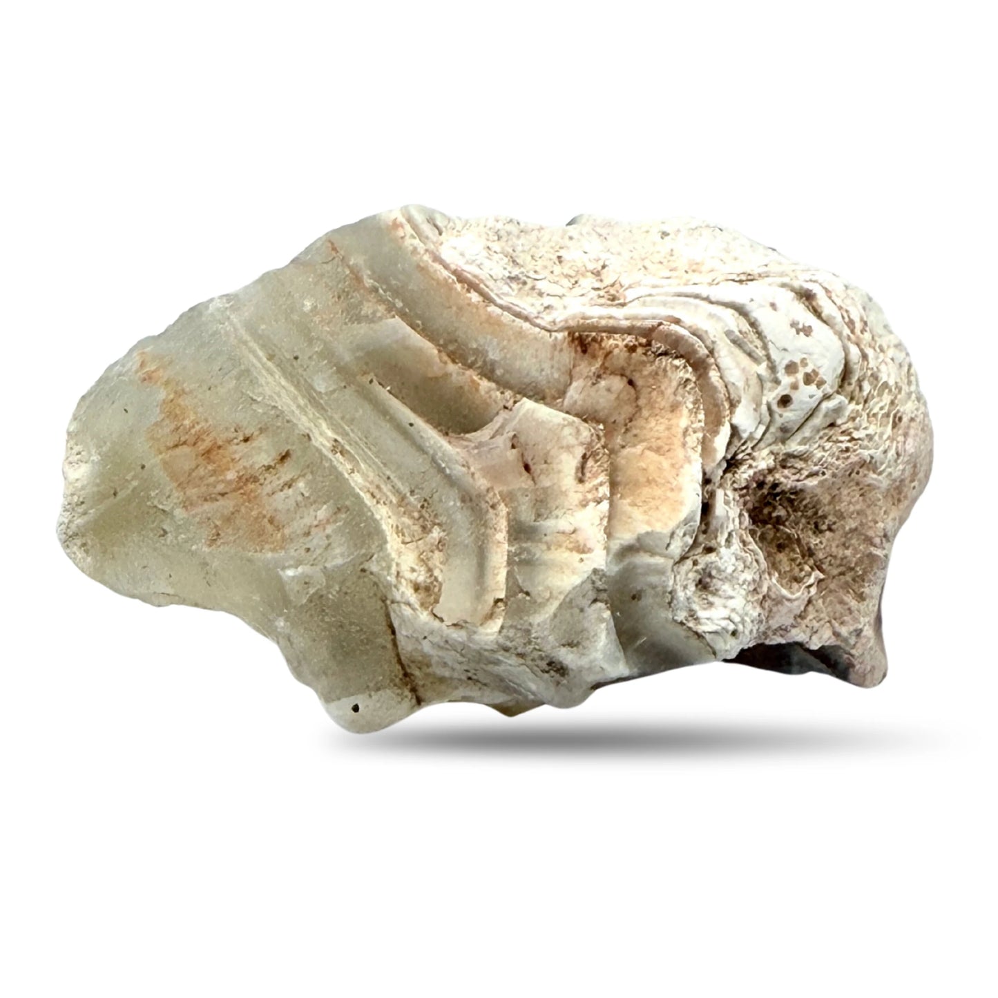 Pierre Brute en Agate du Botswana - Pierre Naturelle