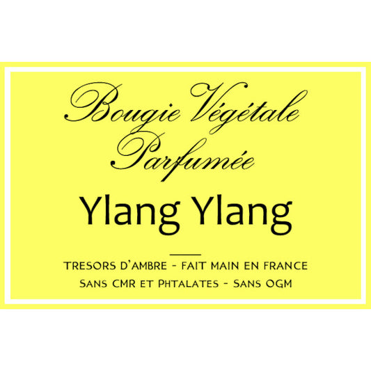 Bougie végétale parfumée Ylang-Ylang Métal